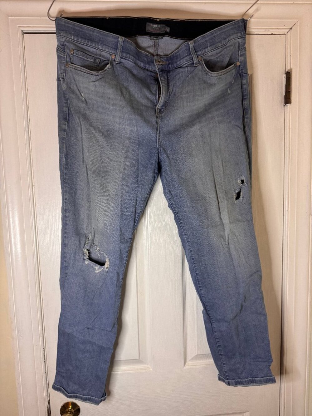 Torrid Bombshell Straight Premium Stretch Medium Wash Blue Denim Jeans 24T Tall